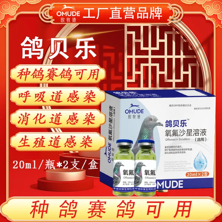 欧牧徳鸽贝乐种鸽赛鸽幼鸽圆环元宝可用不伤鸽子