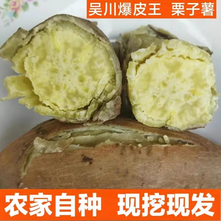 广东湛江吴川农家自种现挖新鲜番薯爆皮板栗栗子红薯粉糯香甜地瓜