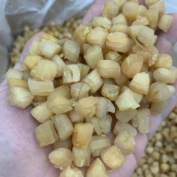 广东汕尾渔民自晒干贝扇贝瑶柱干瑶柱煲汤煲粥营养丰富的海鲜干货