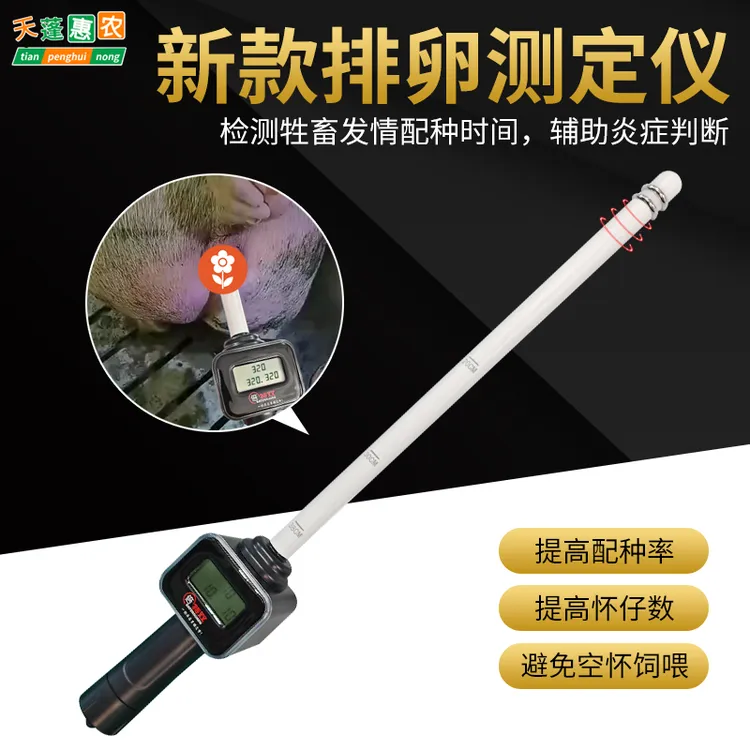 母猪排卵仪兽用发情排卵仪 猪马牛羊通用 母猪发情排卵仪