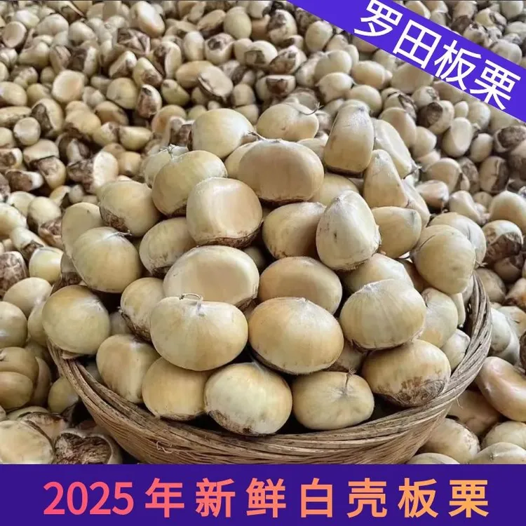 2025罗田板栗特产新鲜带壳白壳嫩生栗子野生毛栗子农家现摘生栗子