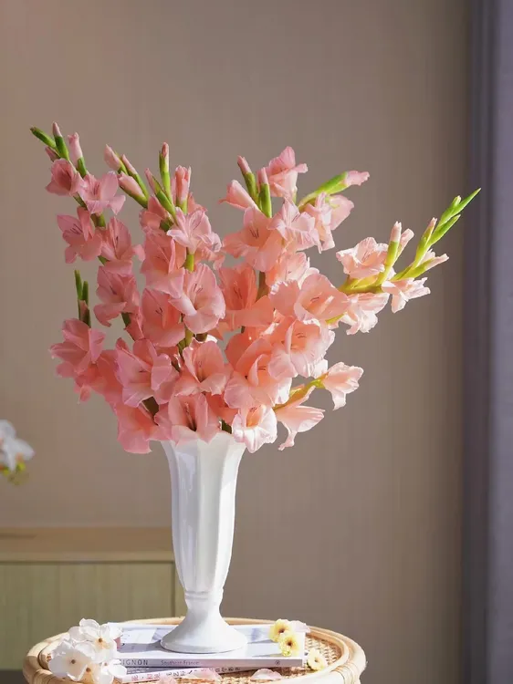 【粉色剑兰】鲜花基地直发昆明花卉市场插花水养节节高