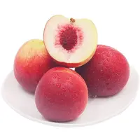 枣油桃约500g/份安徽省