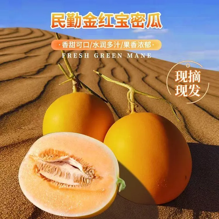 正宗头茬甘肃民勤蜜瓜沙漠蜜瓜软糯香甜新鲜当季水果香甜多汁