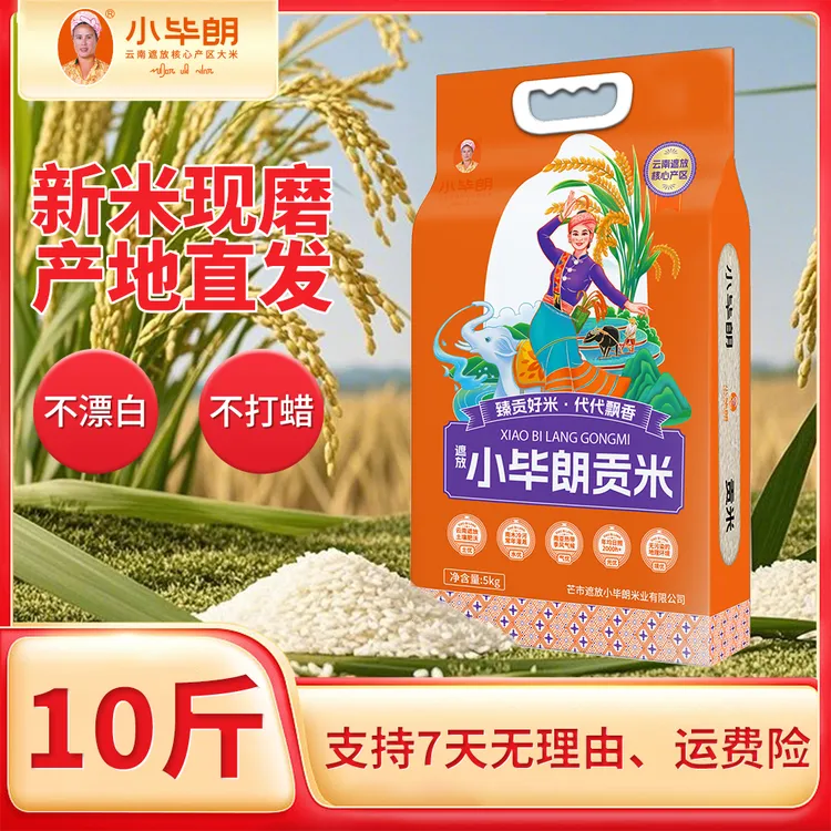 【遮放小毕朗贡米】云南优质大米香甜有嚼劲回甘十足德宏特产
