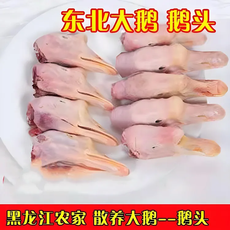 东北大鹅头带头包散养笨养正宗农家新鲜带舌头当年鹅头