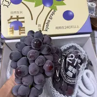 【整件快递-仅发广东】辽宁21度手掰葡萄5斤起顺丰包邮