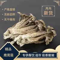 【滋补好物】云南山货鹿茸菇