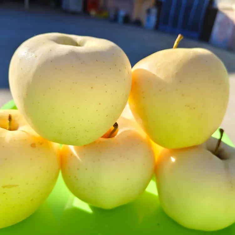 苹果产地直发脆甜多汁当季新鲜水果 王林