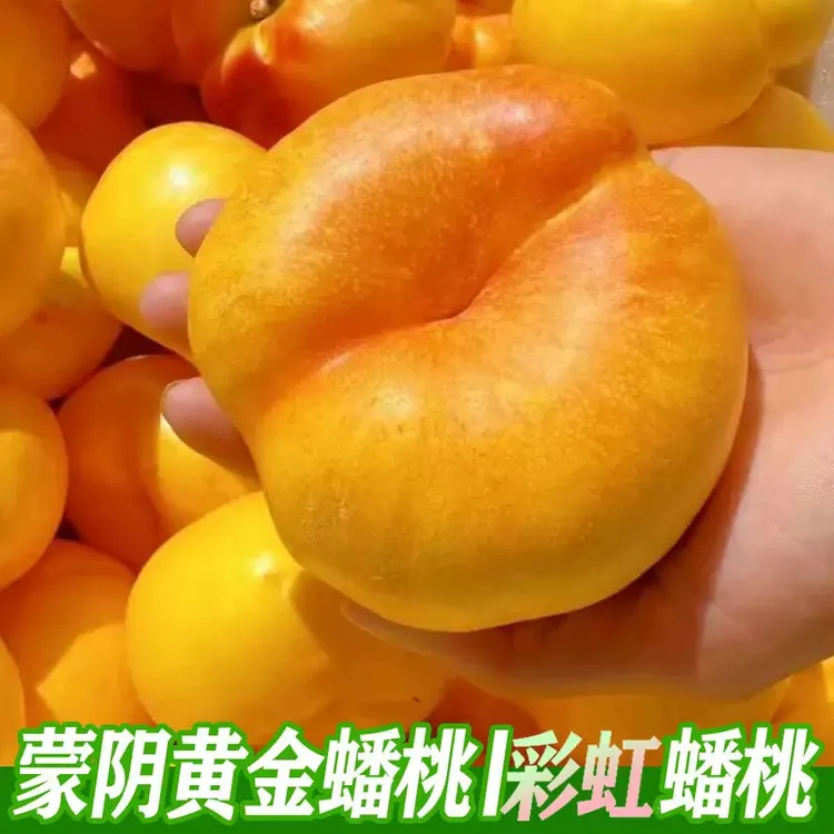 山东蒙阴黄金油蟠桃新鲜油桃甜嫩多汁皮薄现摘水果坏果包赔
