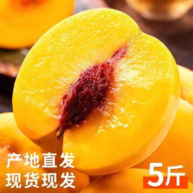 正宗湖北锦绣黄桃新鲜当季水果大果爆甜孕妇水果黄金蜜桃毛桃整箱