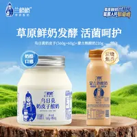 兰格格乌日莫奶皮子酸奶620g&蒙古熟酸奶210g组合草原低温酸奶db