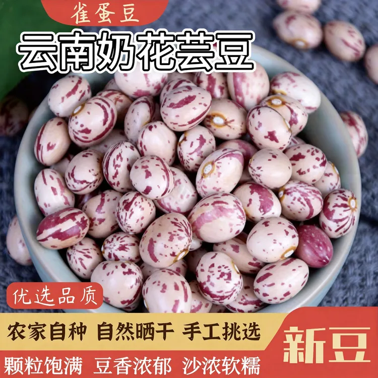 云南雀蛋豆云南奶花芸豆大花生豆五谷杂粮豆类干货煲汤炖肉花芸豆