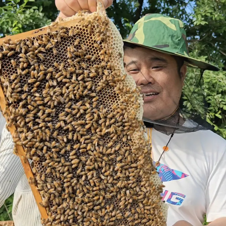 黑土儿女东北深山农家百花土蜂蜜纯蜂蜜优质液态支持检测长辈