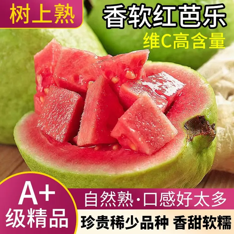 【精品软芭乐】福建软心红心白心芭乐番石榴新鲜水果香甜软糯鸡屎果