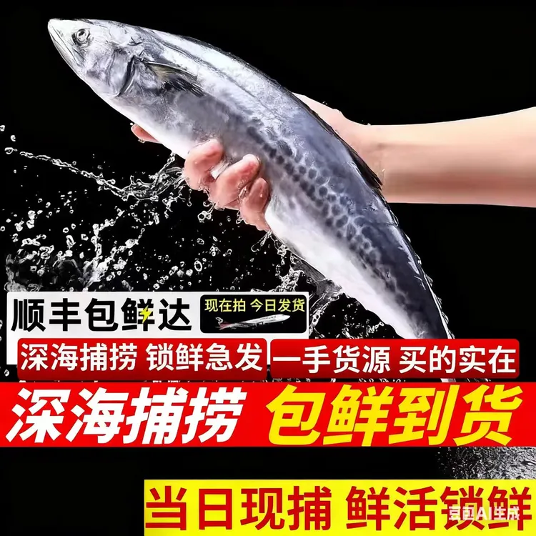 五福渔【双11大促】青岛海鲜新鲜冷冻海捕鲅鱼单条包装冷链包邮