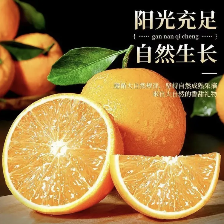 三宝爸甄选 赣南脐橙八斤装