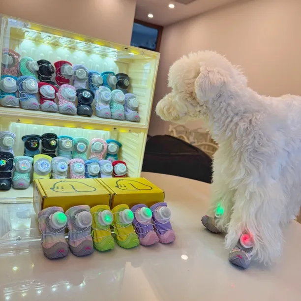 【带灯的宠物鞋子】狗狗宠物鞋子软底防滑商品图