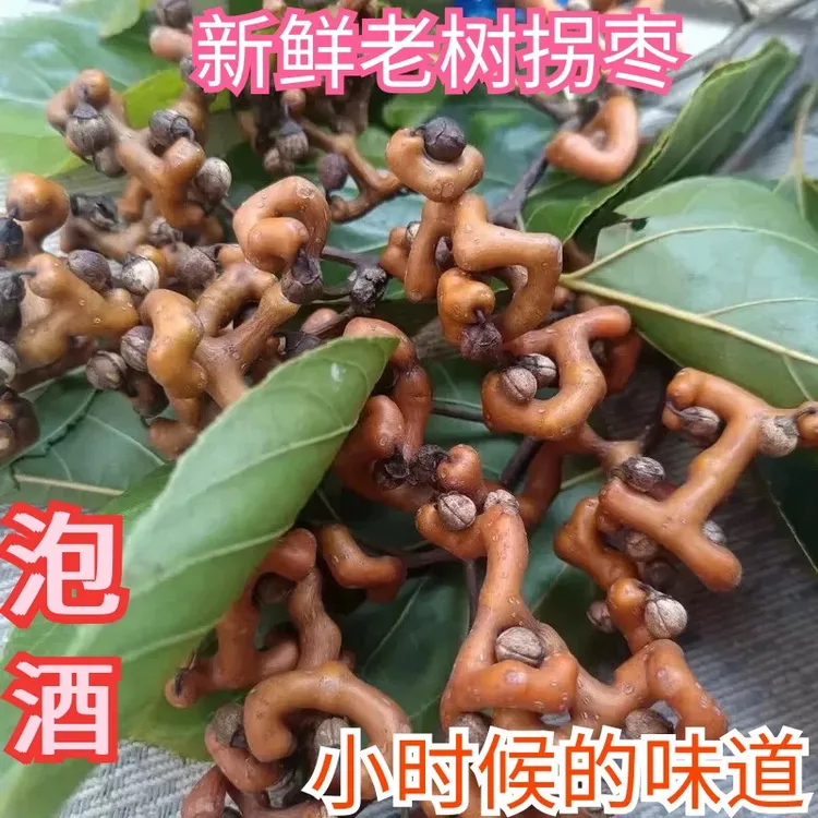 秦岭野生新鲜拐枣鸡爪梨万寿果可生吃可泡酒的应季水果