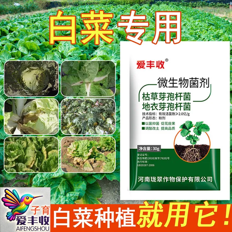 爱丰收白菜专用微生物菌剂白菜微生物肥料保花保果复绿微生物肥料