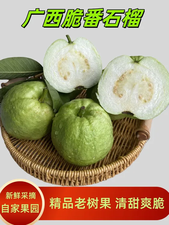 广西番石榴清爽脆甜白心芭乐新鲜采摘低糖低卡高VC水果芭乐大果