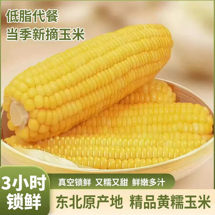 东北619甜糯玉米头茬真空包装25年新鲜玉米8根*220克以上饱腹代餐