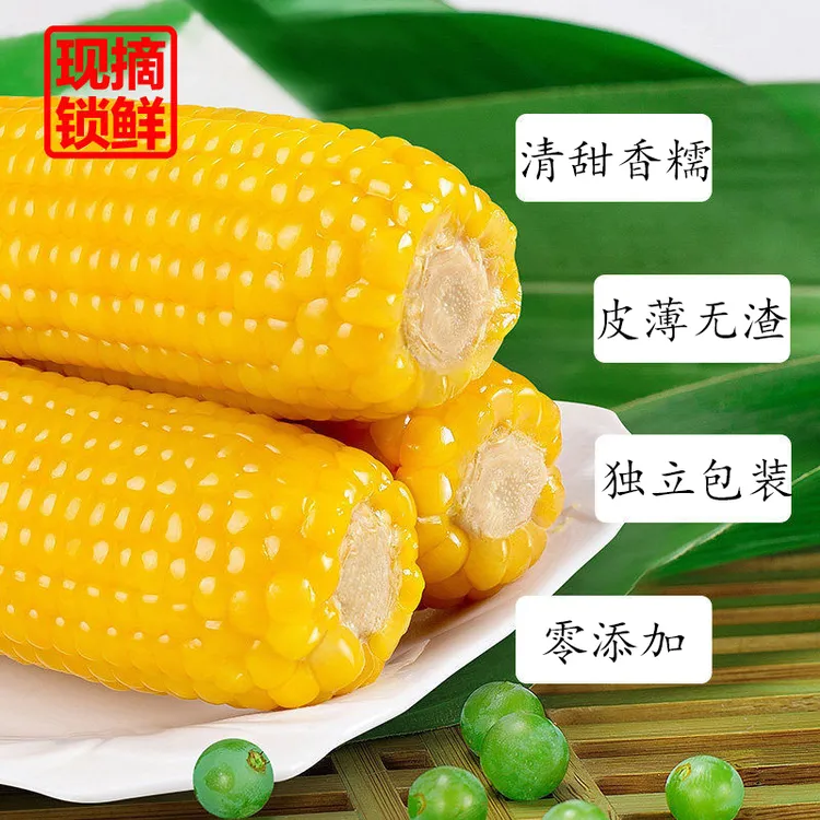 【破冰专属】东北黄粘糯玉米新鲜甜糯玉米早餐粗粮主食10根6-7斤