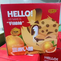 【礼盒装】 福建豹柚红肉蜜柚  一箱四颗装 带箱8.5左右