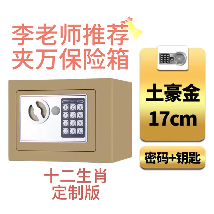 李居明老师推荐大夹万摆件保险箱家用复古家居摆件装饰品