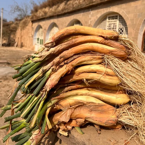 【达人链接】甘肃大西北红葱3/5斤装包邮大葱