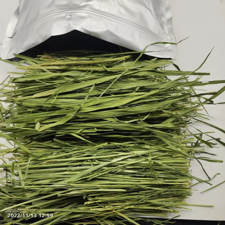 25精选烘干提摩西草草段多叶少杆兔子龙猫豚鼠主食干草磨牙包邮
