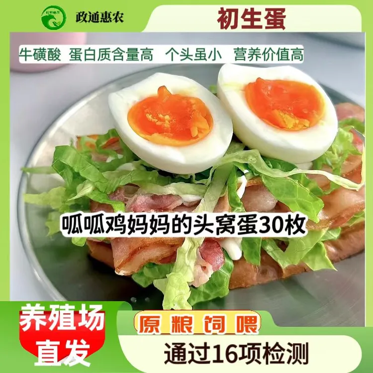 政通惠农无菌富牛磺酸呱呱鸡蛋纯粮新鲜散养农家礼盒装适合孕妇