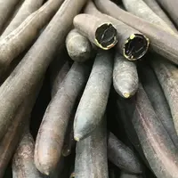 广西靖西野生便果