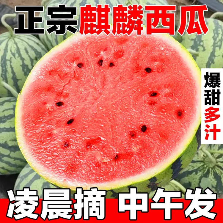 正宗云南麒麟西瓜当季新鲜水果甜王西瓜现摘脆甜多汁