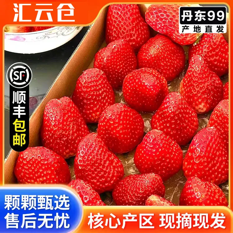 丹东九九奶香味足优质新鲜水果空运包邮草莓九九大草莓99大草莓