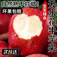 【次日送达】正宗甘肃天水花牛苹果粉脆两吃当季新鲜水果甘肃省