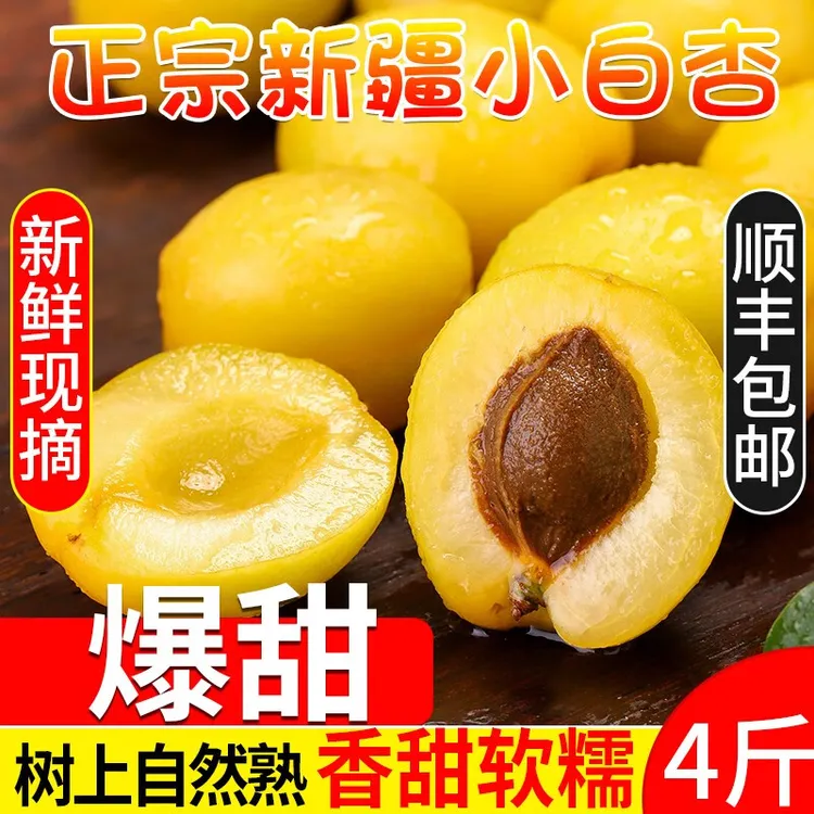 【顺丰包邮】正宗新疆吊干杏小白杏甜子杏新鲜当季孕妇水果现摘包邮