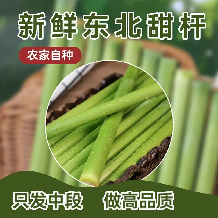 东北特产甜杆甜芦粟顺丰冷链新鲜发货童年味道