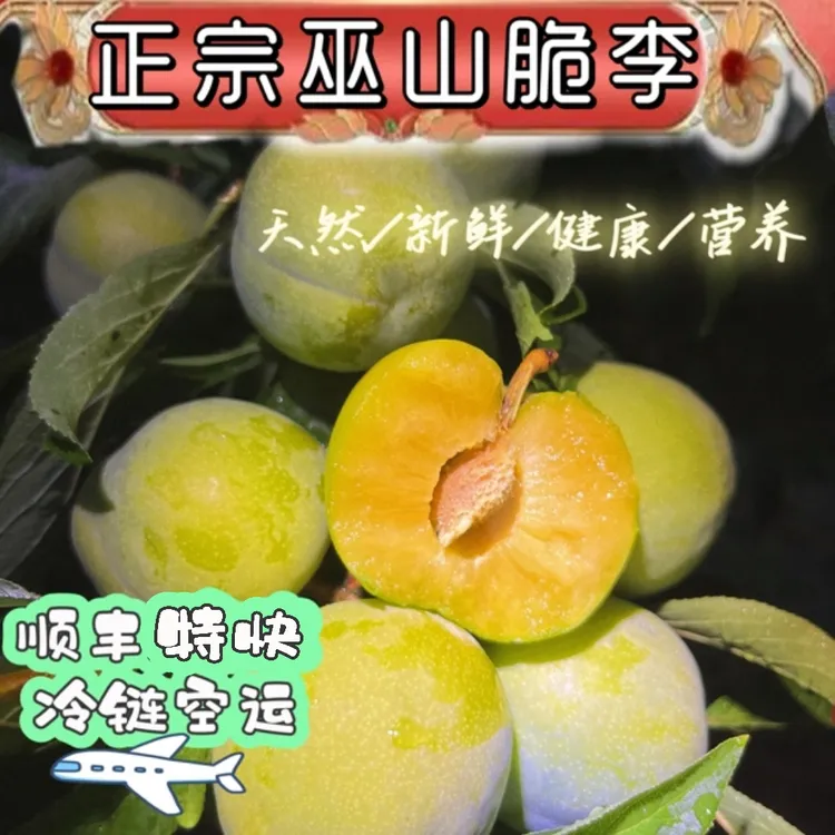 巫山脆李高山晚熟【顺丰空运】健康甜李子脆李/脱骨李-夏天水果孕妇