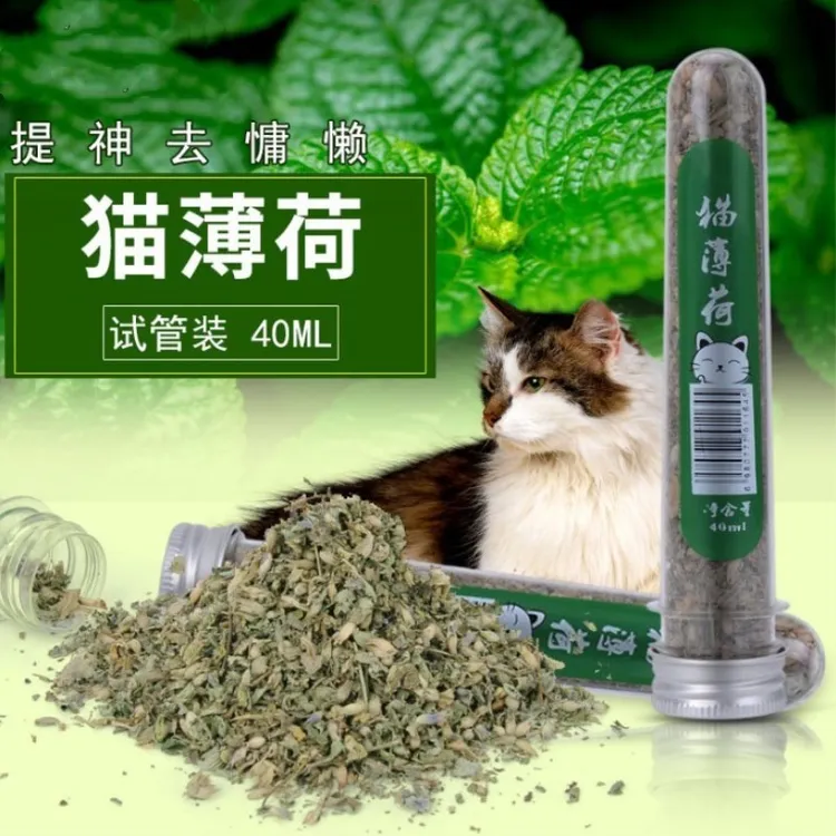 猫薄荷叶粉试管装猫咪用品薄荷草干叶粉猫薄荷叶子
