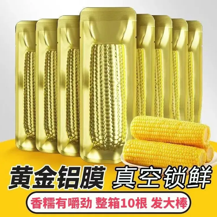 【试吃2根】铝箔包装东北黄糯玉米大棒10根整箱5-6斤香甜软糯