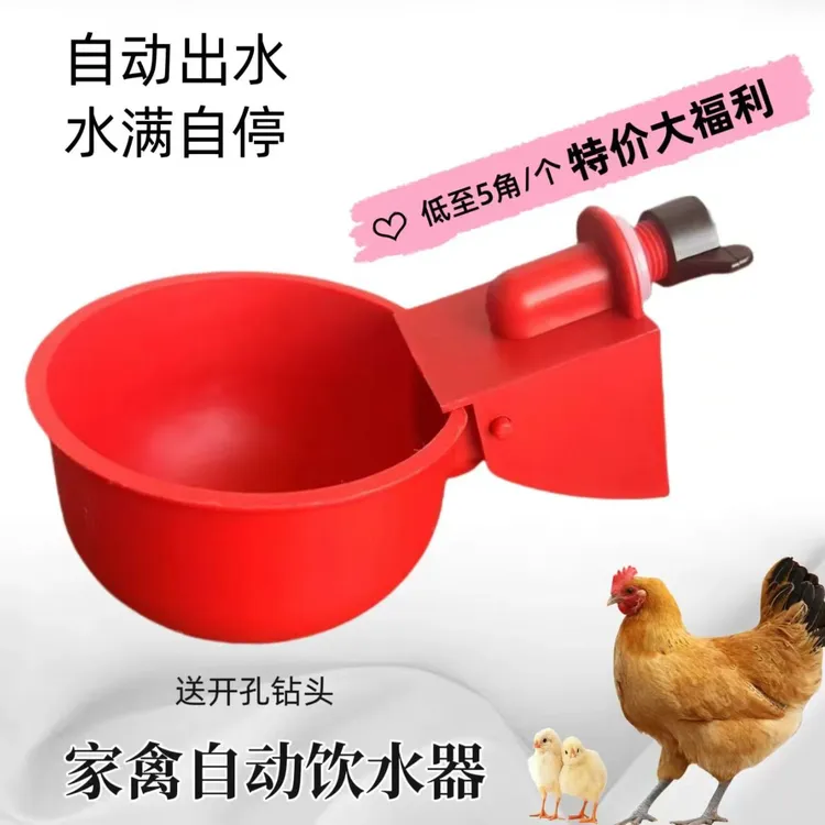 新款鸡鸭鹅自动喂水器鸽用饮水碗饮水器喝水碗喂鸡自动饮水器养殖
