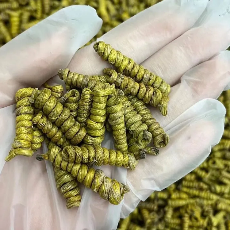 华佗四季石斛正宗霍山铁皮石斛胶质感满满精心挑选泡茶煲汤送礼