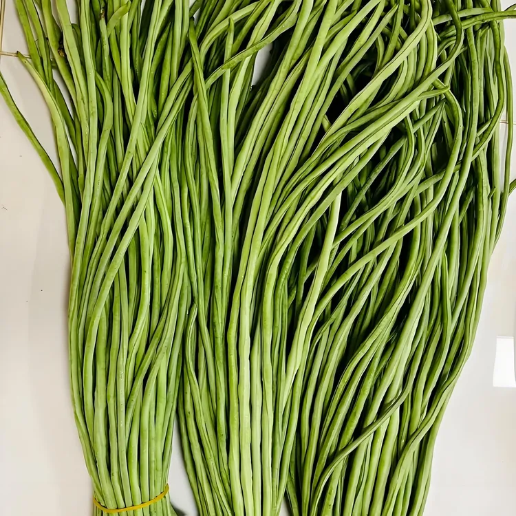 东北梨树新鲜采摘豆角可腌可炒时令豇豆