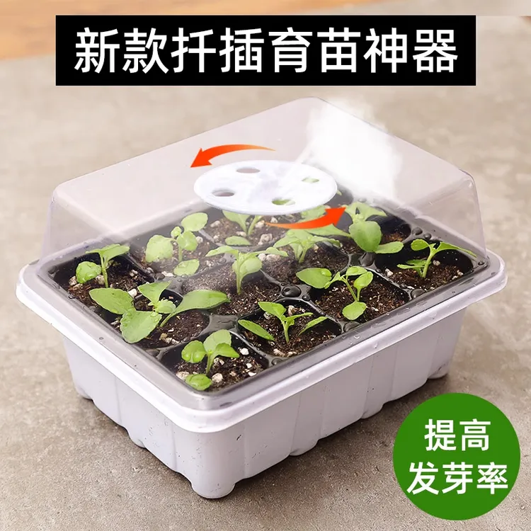 家用育苗盒扦插专用育苗盘托盘大号加厚塑料穴盘保护罩厂家直销