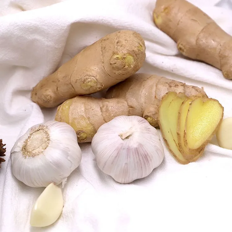 山东大姜皮薄味浓辣味十足新鲜蔬菜可腌制调味出口标准大黄姜