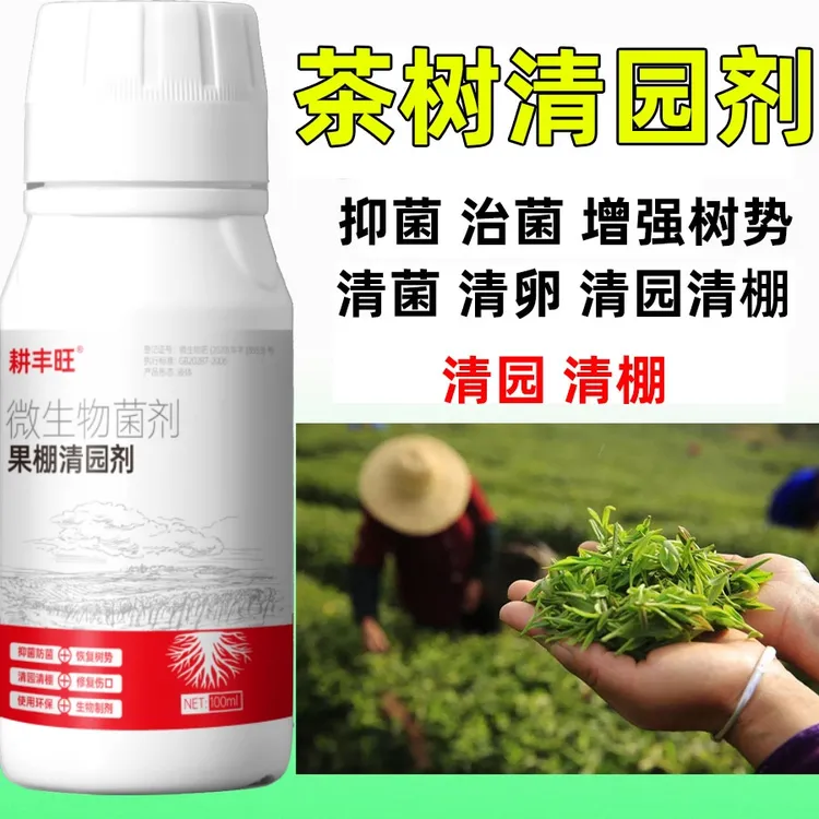 茶叶清园剂微生物菌剂安全环保杀菌消毒清园清棚茶园清园药清满园