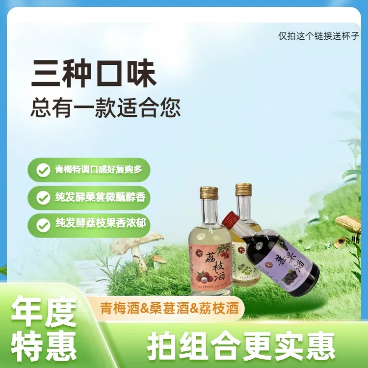 【5瓶3味】纯发酵桑葚酒荔枝酒特调青梅酒组合微醺果酒适合女士聚会