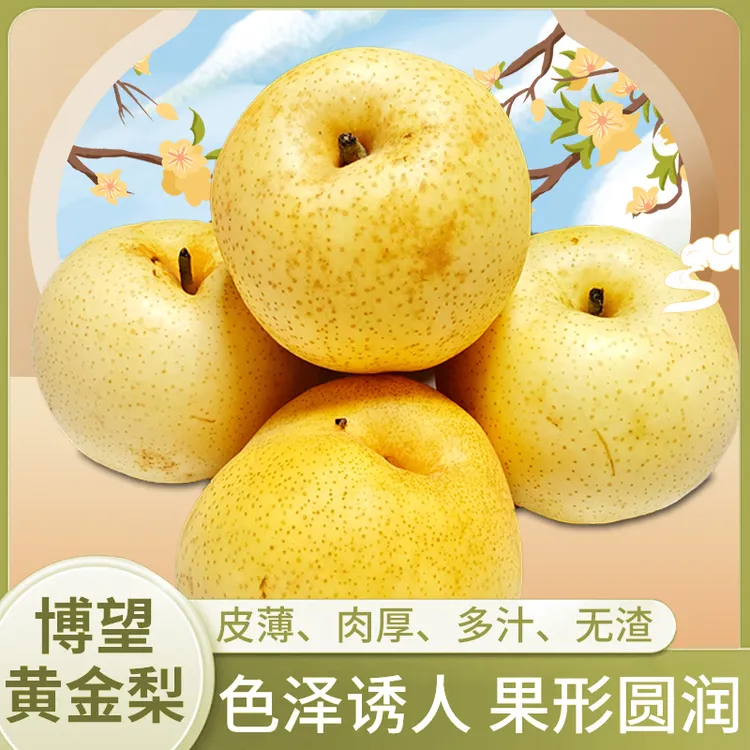 博望黄金梨水果脆甜皮薄多汁整箱大黄金梨无渣正宗现摘先发