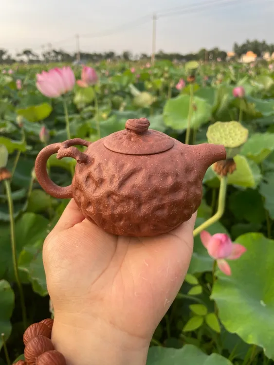 红降坡-黄段泥料供春210cc半手工艺